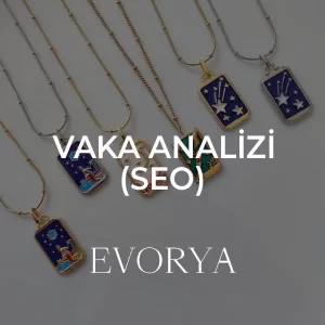 evorya seo başarı hikayesi