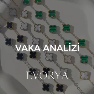 evorya vaka analizi